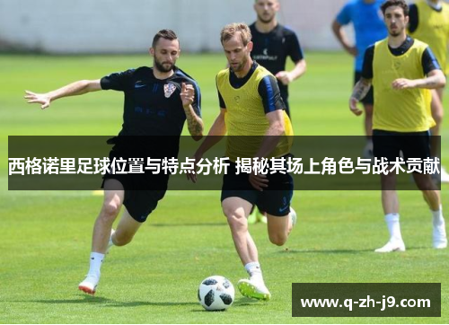 西格诺里足球位置与特点分析 揭秘其场上角色与战术贡献