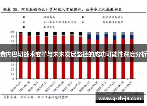 费内巴切战术变革与未来发展路径的成功可能性深度分析
