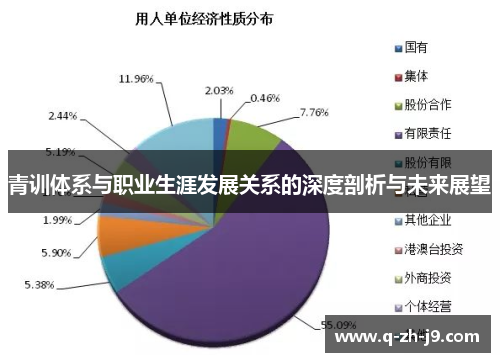 青训体系与职业生涯发展关系的深度剖析与未来展望